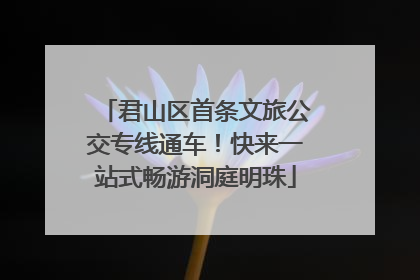 君山区首条文旅公交专线通车！快来一站式畅游洞庭明珠